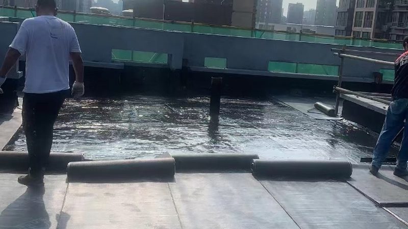 油性与水泥基：防水材料的双重世界**